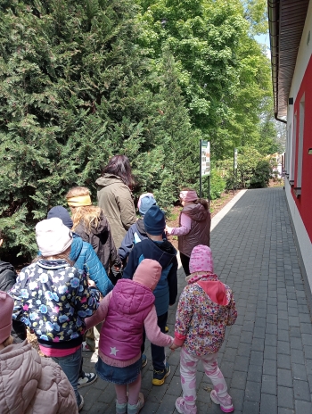 IMG20250512114851