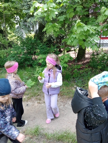IMG20250512115300