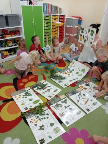 IMG20250905112203