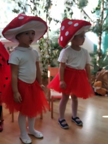 IMG_20251002_102411_1