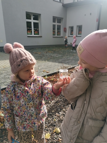 IMG_20251010_114429