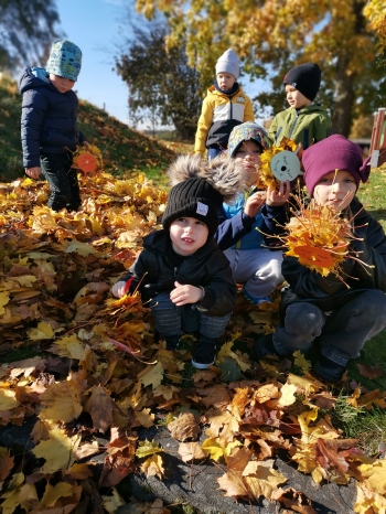 IMG_20251023_115850_1