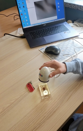 IMG_20260304_140204715_2