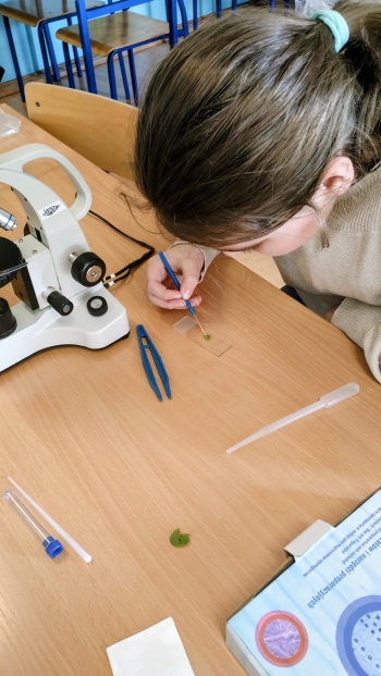 IMG_20260304_142328826_2