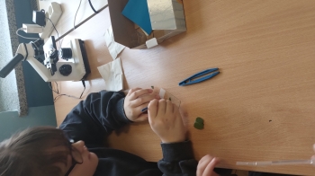 IMG_20260310_121730190