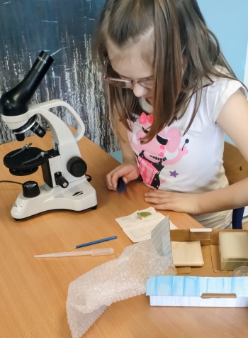 IMG_20260310_121816164_2