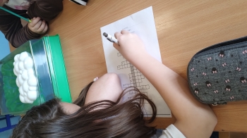 IMG_20260311_135937695