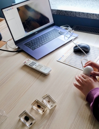 IMG_20260324_121012950_2