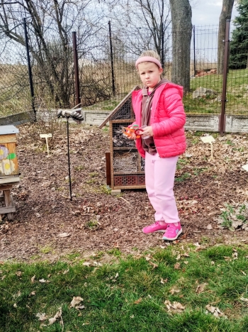 IMG_20260325_141543638_2