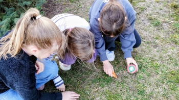 original_8a178275-82e2-442d-bef7-3a734c78dcd6_IMG_20260324_122330695_2