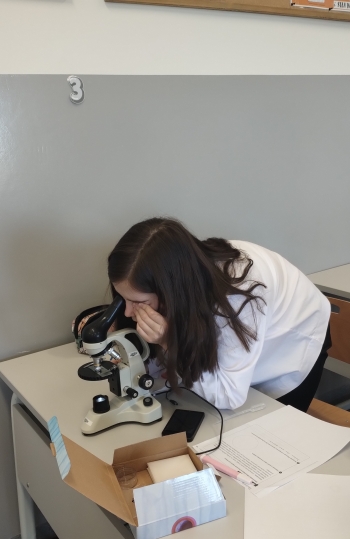 original_10d66cc3-100b-4117-8946-cfc2a4ec42f6_IMG_20260430_103417671