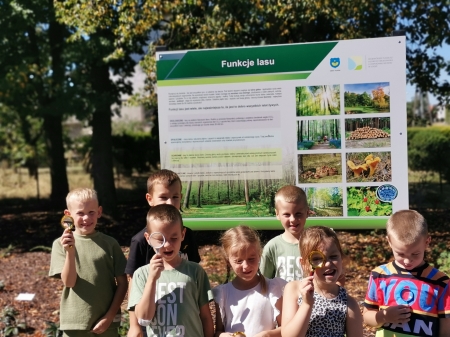Funkcje lasu.