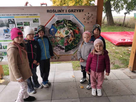 Inspiracje z natury - jeże z masy solnej.