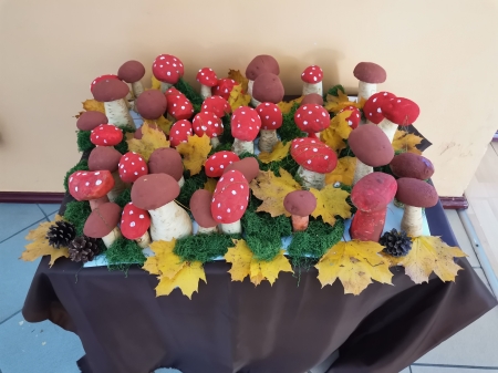 Grzybki - dary lasu.