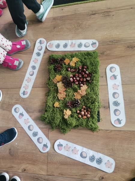 Projekt edukacyjny ''Las wokół nas''.