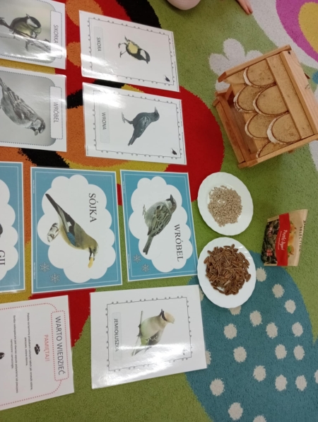 Dokarmianie ptaków.